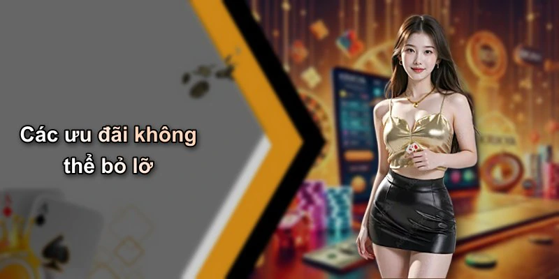 Các ưu đãi không thể bỏ lỡ