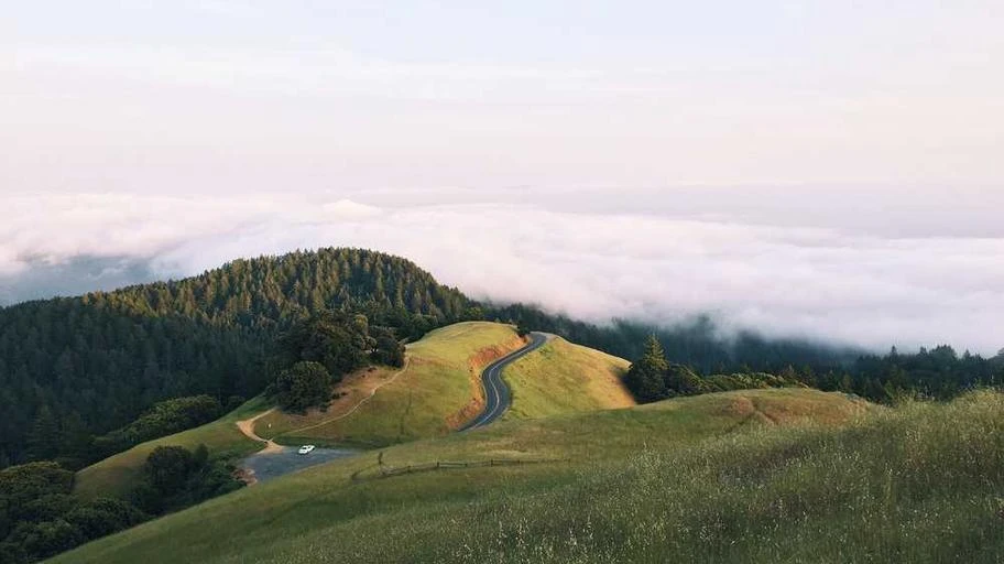 kham-pha-vang-3-con-heo-y-nghia-va-loi-ich