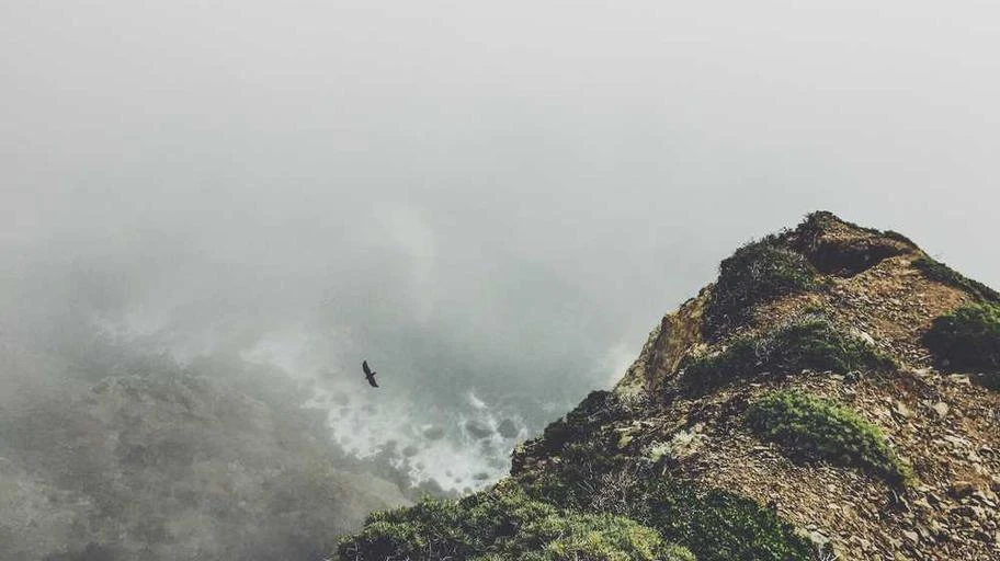 Thị trường vàng Việt Nam