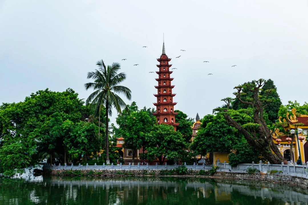 Vai trò của hoa mai trong tín ngưỡng Việt Nam.